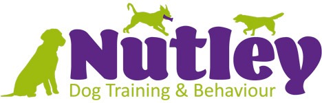 Professional dog training | Nutley Dog Training & Behaviour